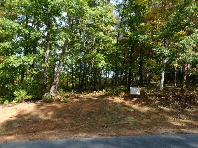 210 Cliffside Trl, Pickens, SC 29671 - photo 5