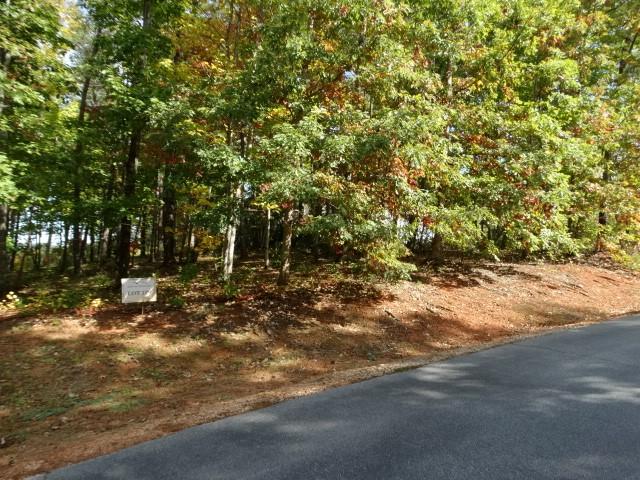 210 Cliffside Trl, Pickens, SC 29671 - photo 6