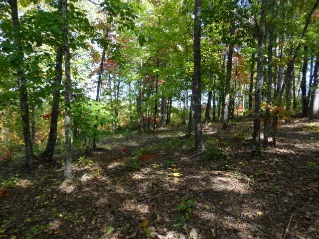 210 Cliffside Trl, Pickens, SC 29671 - photo 8