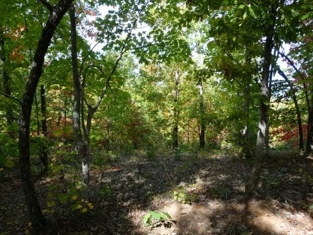 210 Cliffside Trl, Pickens, SC 29671 - photo 9