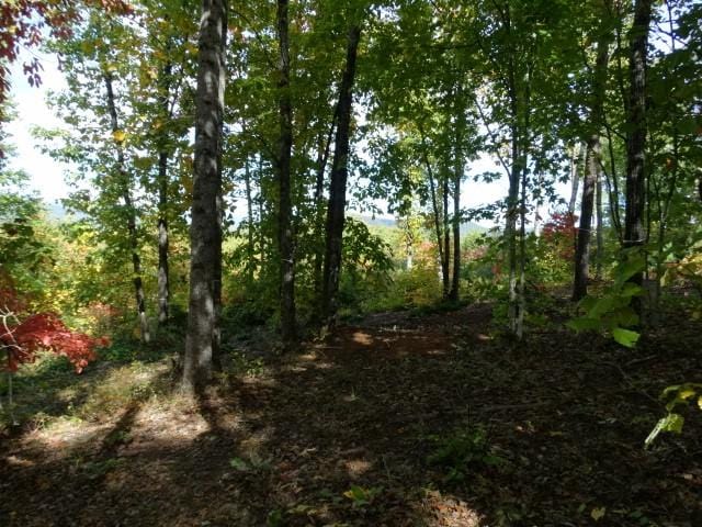 210 Cliffside Trl, Pickens, SC 29671 - photo 10