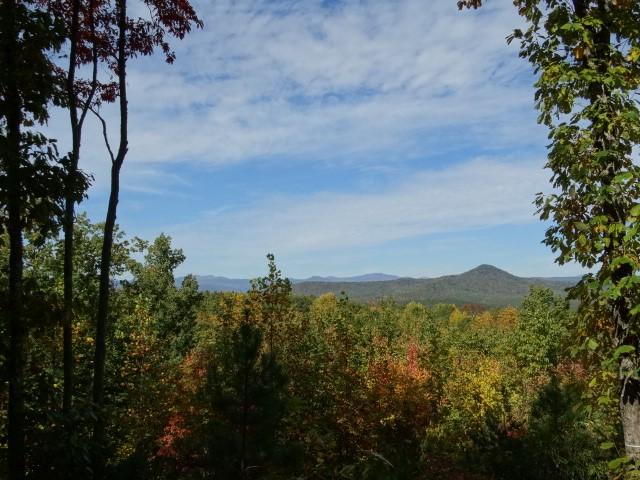 210 Cliffside Trl, Pickens, SC 29671 - photo 11