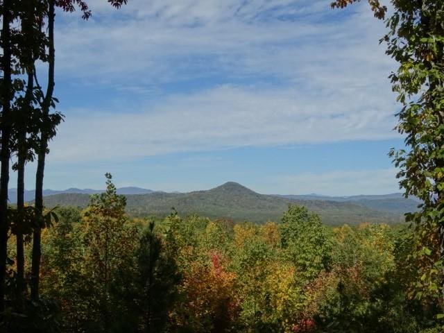 210 Cliffside Trl, Pickens, SC 29671 - photo 12