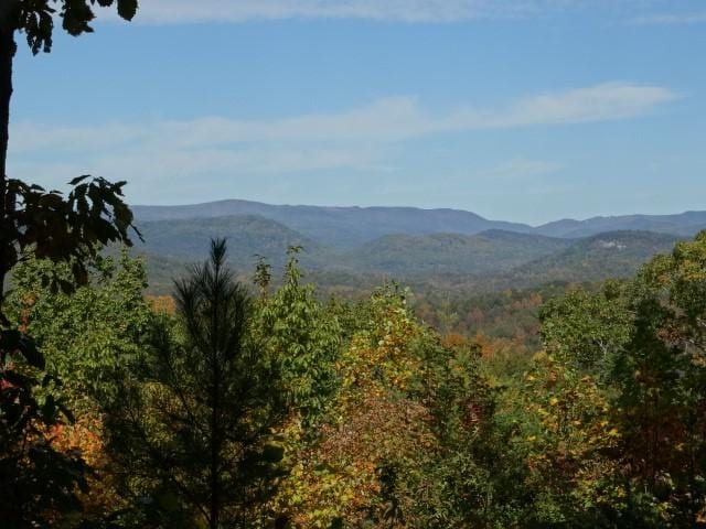 210 Cliffside Trl, Pickens, SC 29671 - photo 13