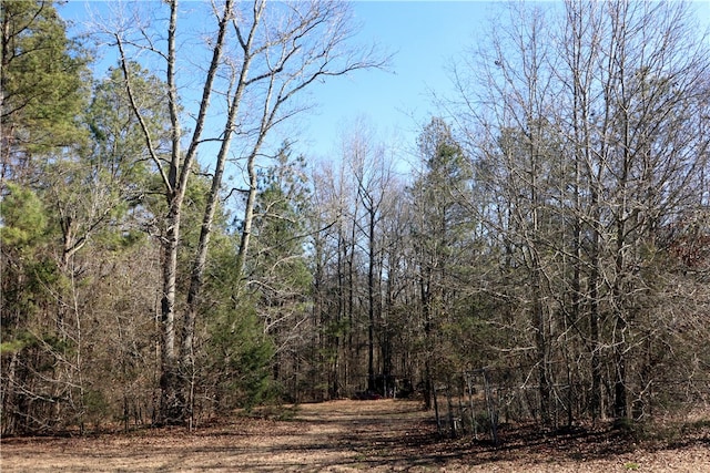 view of local wilderness