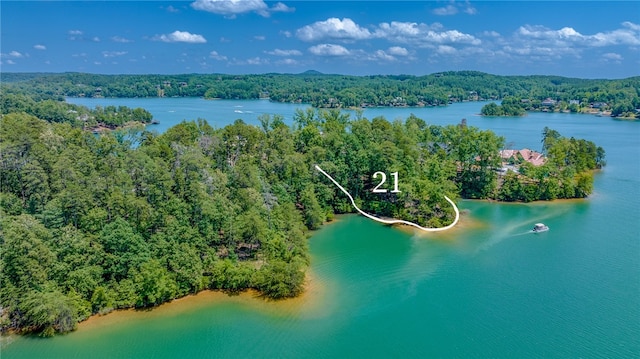 EWP21 S Edgewater Dr, Sunset SC, 29685 land for sale