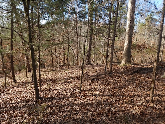 00 Boyds Mill Pond Rd, Laurens, SC 29360