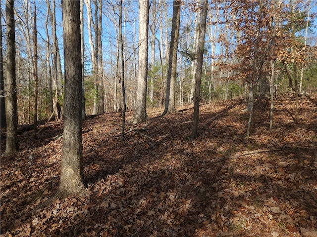 00 Boyds Mill Pond Rd, Laurens, SC 29360