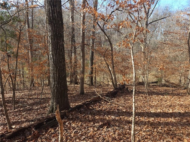 00 Boyds Mill Pond Rd, Laurens, SC 29360