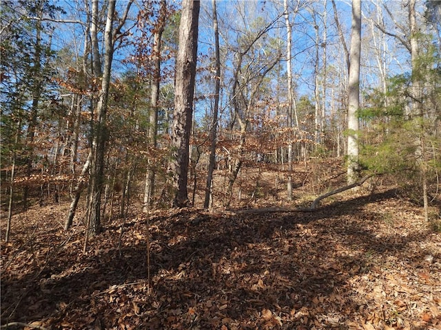 00 Boyds Mill Pond Rd, Laurens, SC 29360