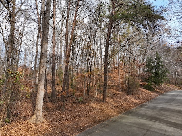 LOT2 Santee Trl, Clemson SC, 29631 land for sale