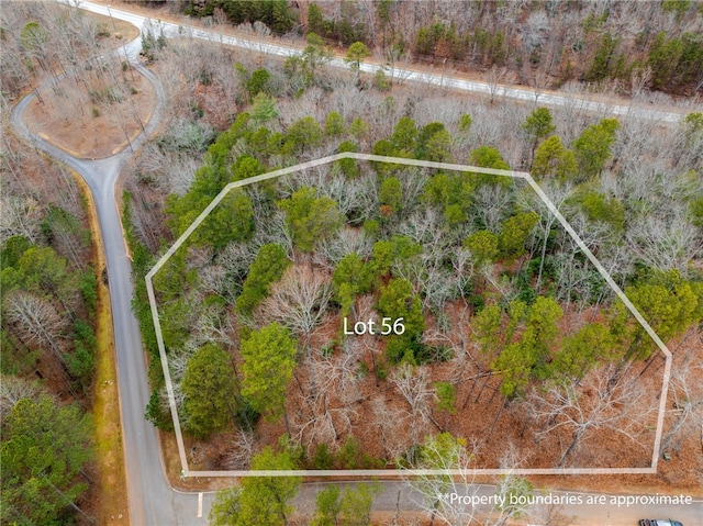 LOT56 Blue Water Trl, Salem SC, 29676 land for sale