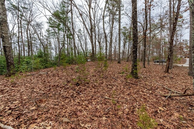 LOT56 Blue Water Trl, Salem, SC 29676
