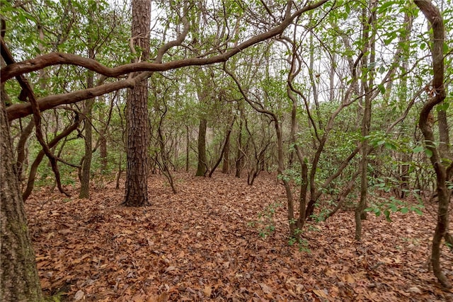 LOT56 Blue Water Trl, Salem, SC 29676