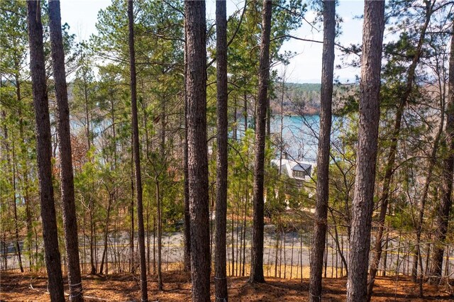 201 Deep Cove Pt, Sunset, SC 29685
