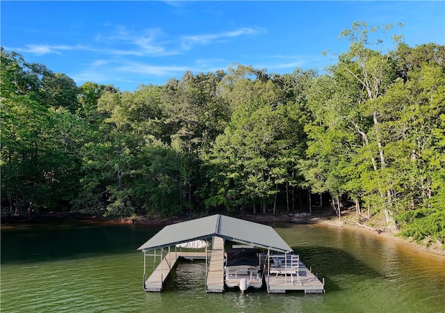 view of dock with a water view