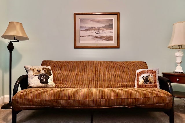 sitting room with carpet flooring