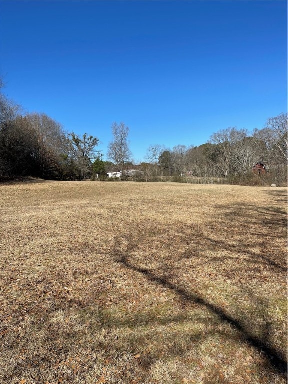 view of yard with a rural view