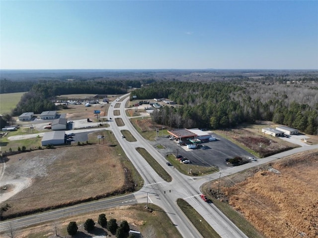 602 Templeton Rd, Laurens, SC 29360 - photo 10