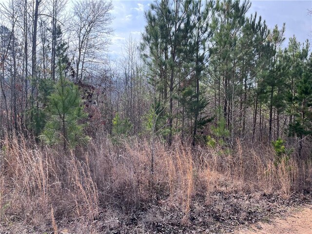0 S Lakeview Dr, Fair Play, SC 29643 - photo 2