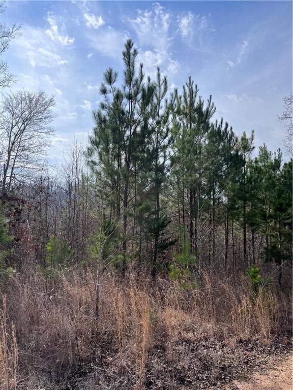 0 S Lakeview Dr, Fair Play, SC 29643 - photo 3