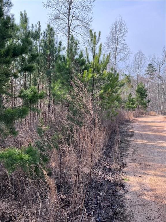 0 S Lakeview Dr, Fair Play, SC 29643 - photo 13