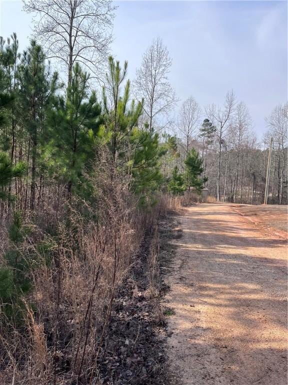 0 S Lakeview Dr, Fair Play, SC 29643 - photo 16