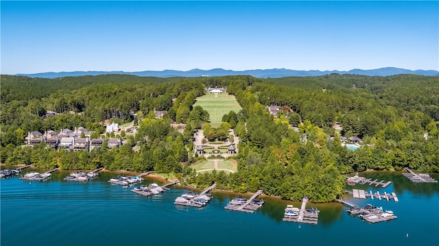 drone / aerial view with a water and mountain view