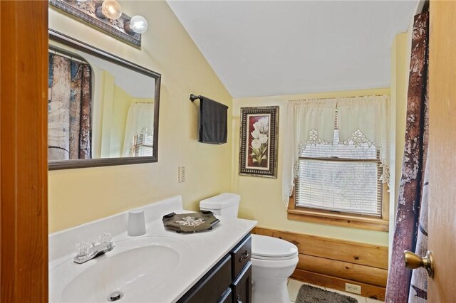 728 Tall Oak Trl, Seneca, SC 29678 - bathroom featuring vaulted ceiling, toilet, and vanity