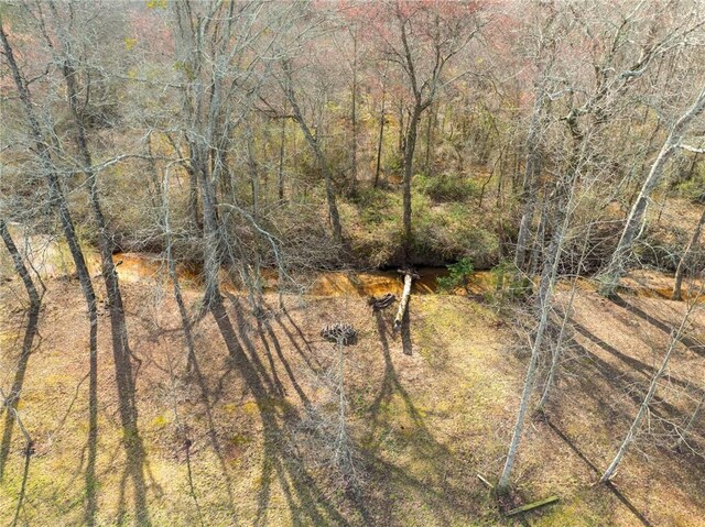 728 Tall Oak Trl, Seneca, SC 29678 - view of nature