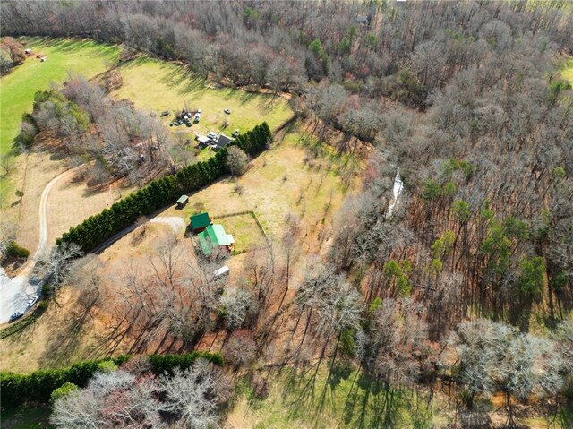 728 Tall Oak Trl, Seneca, SC 29678 - drone / aerial view