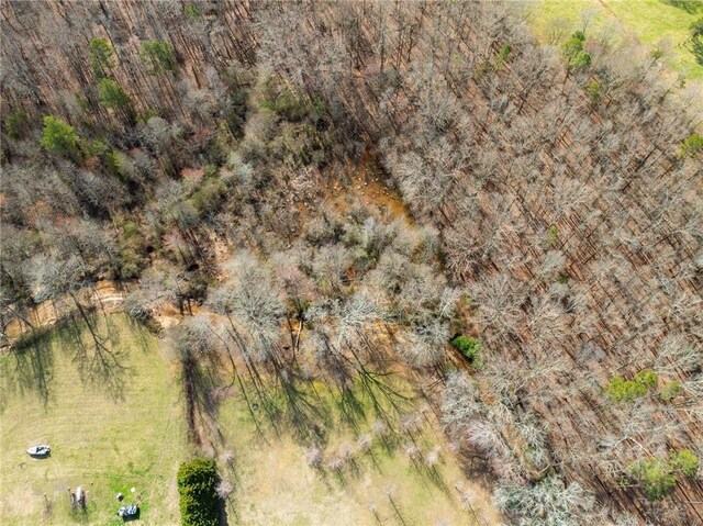 728 Tall Oak Trl, Seneca, SC 29678 - drone / aerial view