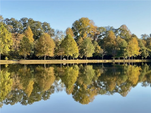 property view of water