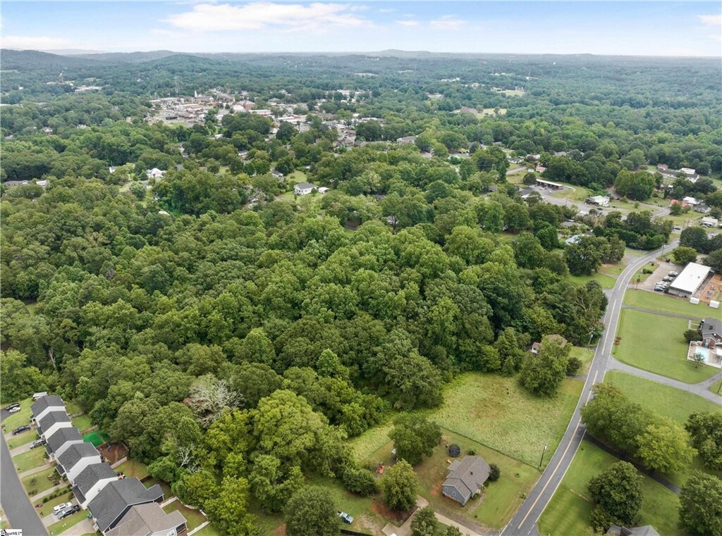 00 Reece Mill Rd, Pickens, SC 29671 - photo 3