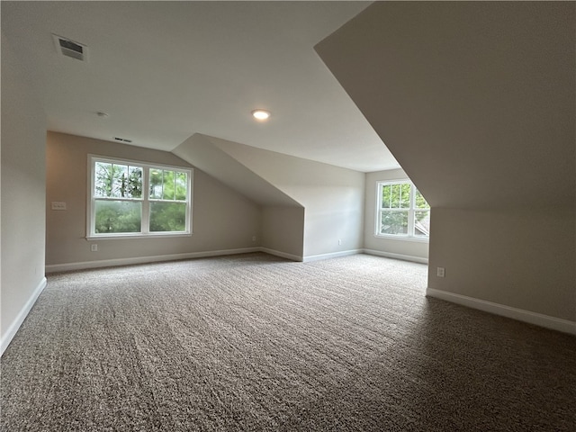 additional living space featuring carpet floors and vaulted ceiling