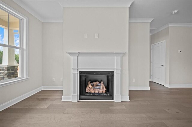 170 Preston Ridge Dr, Seneca, SC 29672 - unfurnished living room featuring a fireplace, wood finished floors, and crown molding