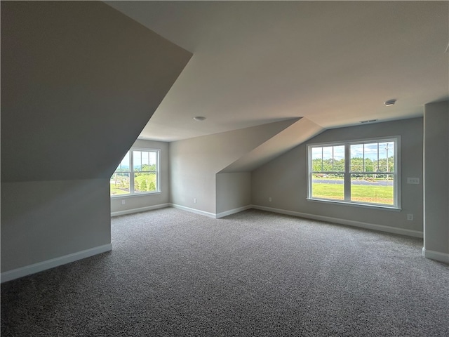 additional living space with carpet floors and lofted ceiling