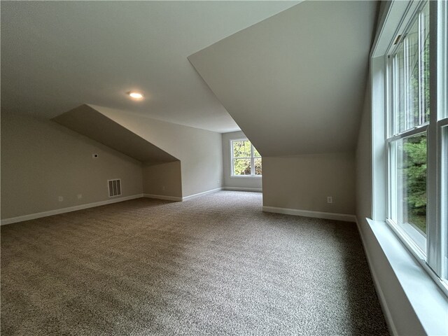 additional living space featuring carpet floors and lofted ceiling