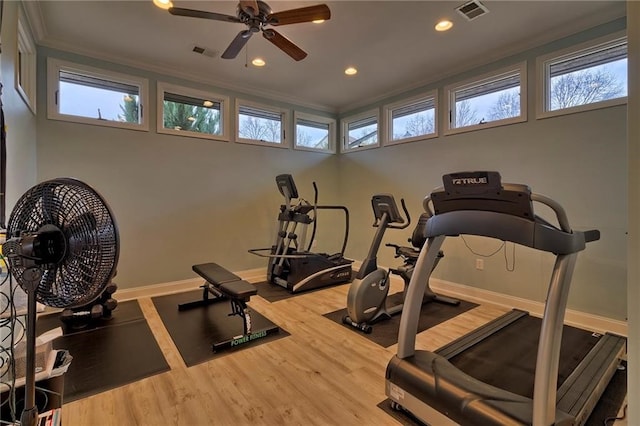 workout area with wood-type flooring, crown molding, and plenty of natural light