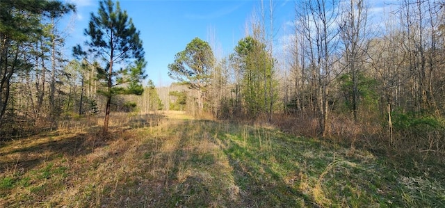 294 Vineyard Rd, Westminster SC, 29693 land for sale