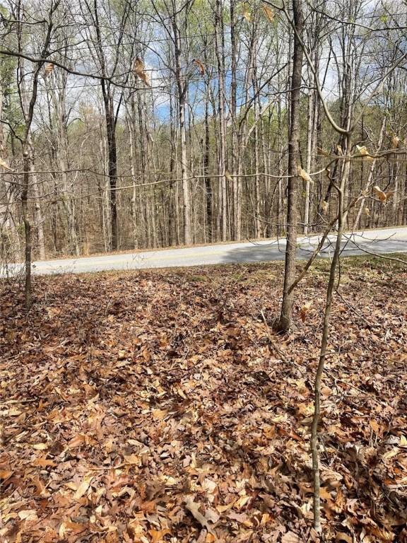 Listing photo 3 for LOT594 Laurel Dr, Westminster SC 29693