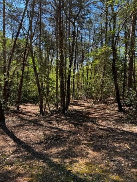 Listing photo 3 for LOT4A Tabor Ramp Rd, Westminster SC 29693