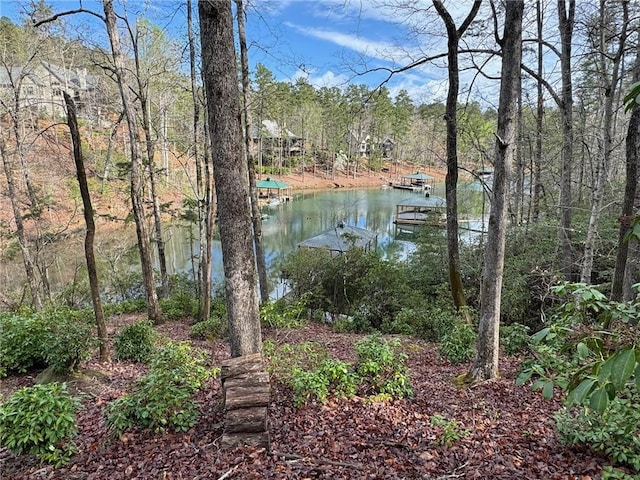 355 Long Cove Trl, Salem SC, 29676 land for sale