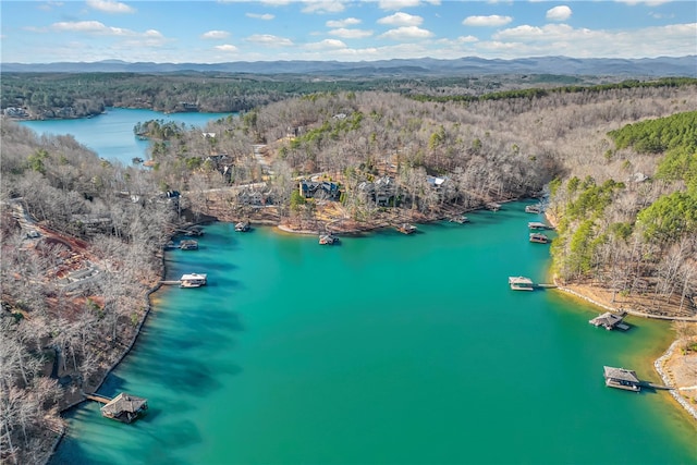 drone / aerial view with a water and mountain view