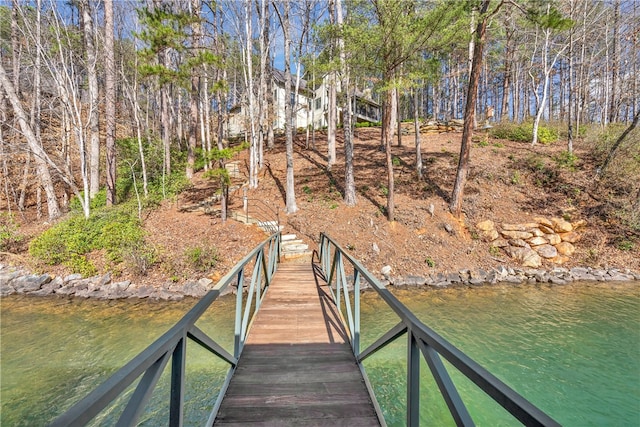 dock area with a water view