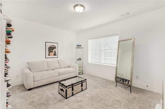 living room with carpet floors