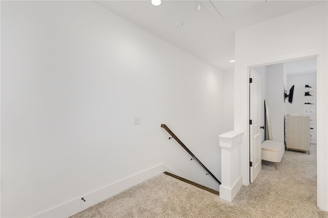 staircase featuring carpet floors