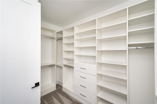 1230 Melton Rd Unit 211, West Union, SC 29696 - walk in closet with dark colored carpet