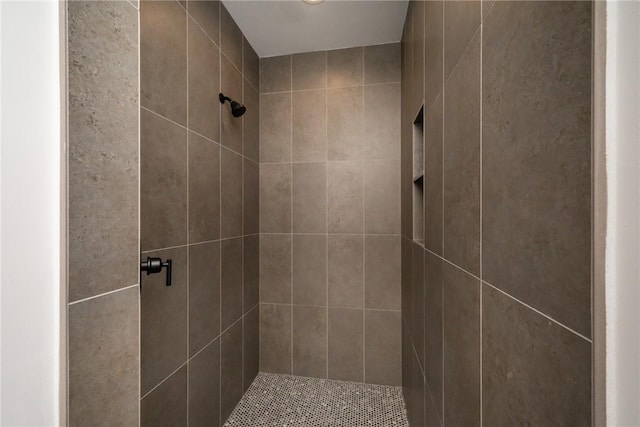 1230 Melton Rd Unit 211, West Union, SC 29696 - bathroom with tiled shower