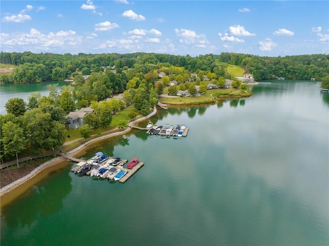 1230 Melton Rd Unit 211, West Union, SC 29696 - aerial view with a water view and a view of trees